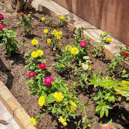 Casa Diana Affittacamere Eforie Sud (Constanta)